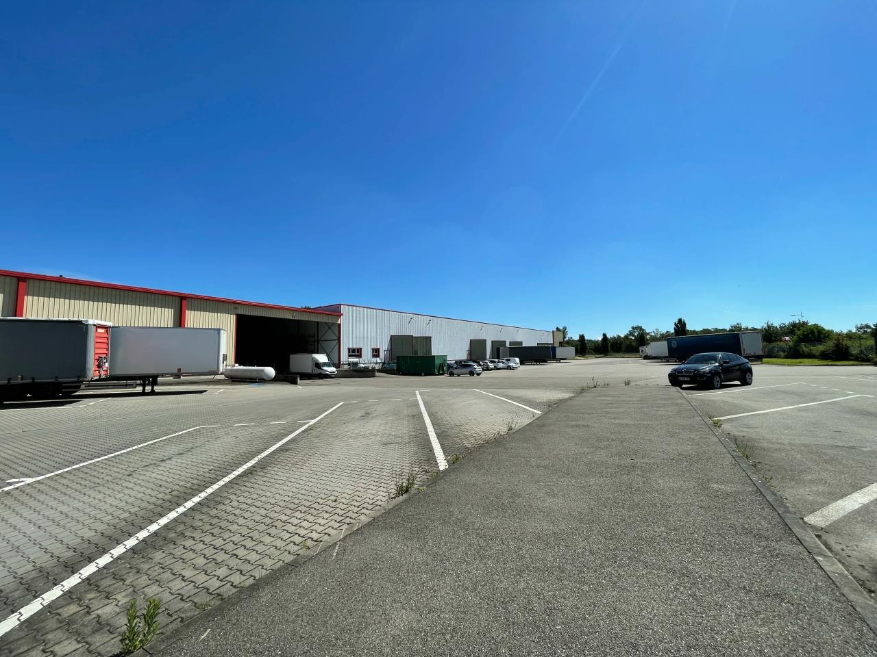 Local d'activité Scherwiller 1650m² Location local d'activité Scherwiller Bas-Rhin OLACT2424468 0